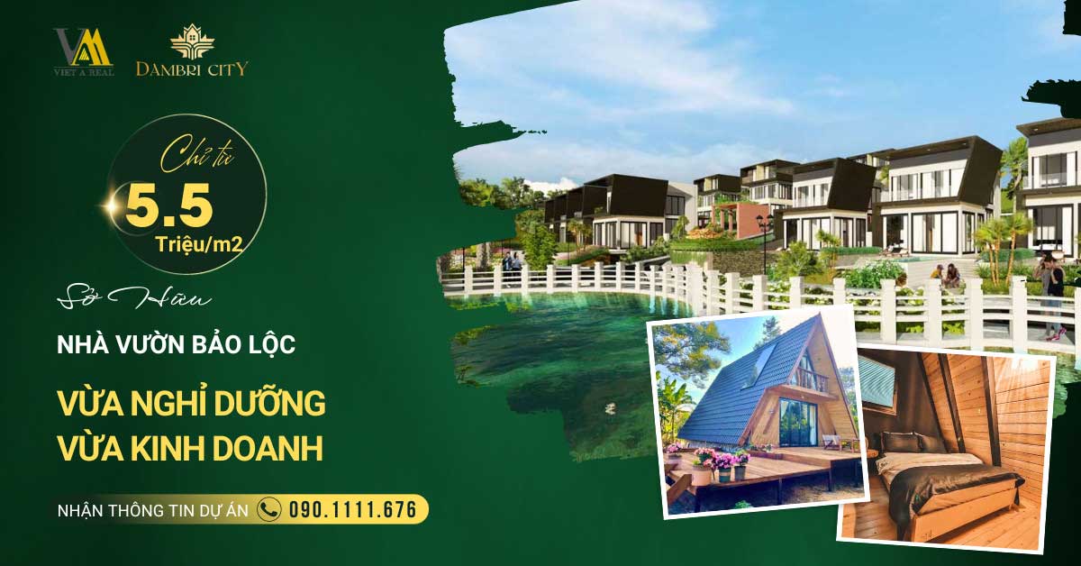 bảng giad dambricity bảo lộc