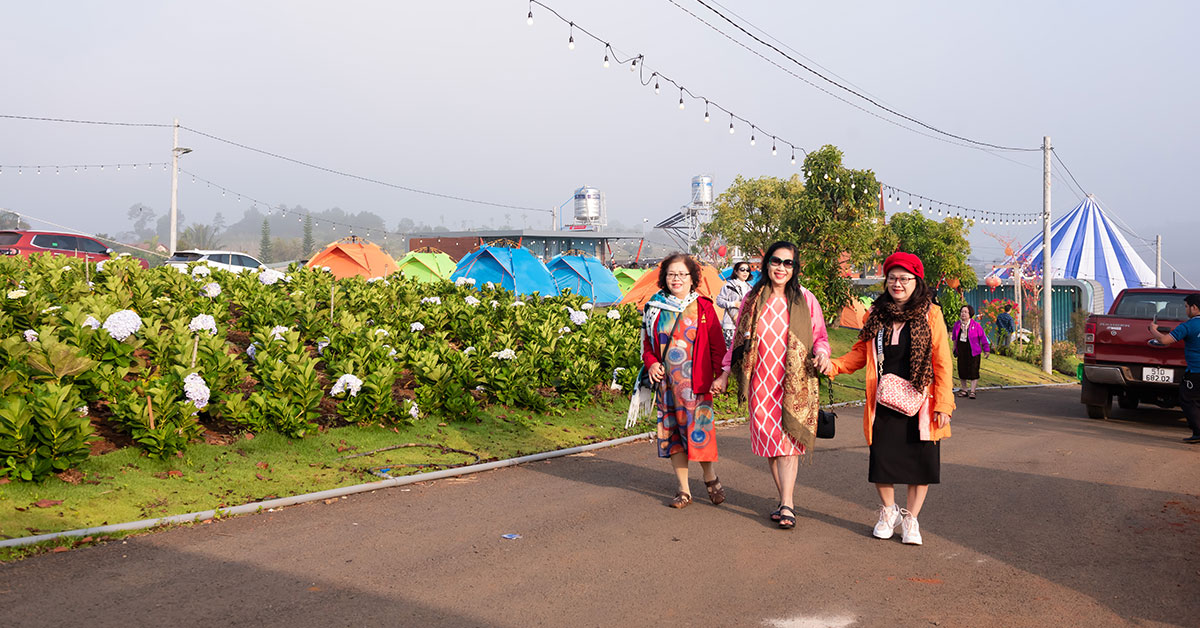 Ngắm hoa cẩm tú cầu Dambri City bảo Lộc