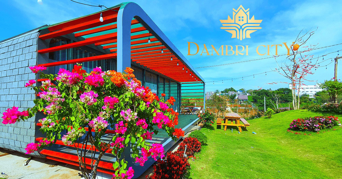 Dambri City Mùa hoa Giấy